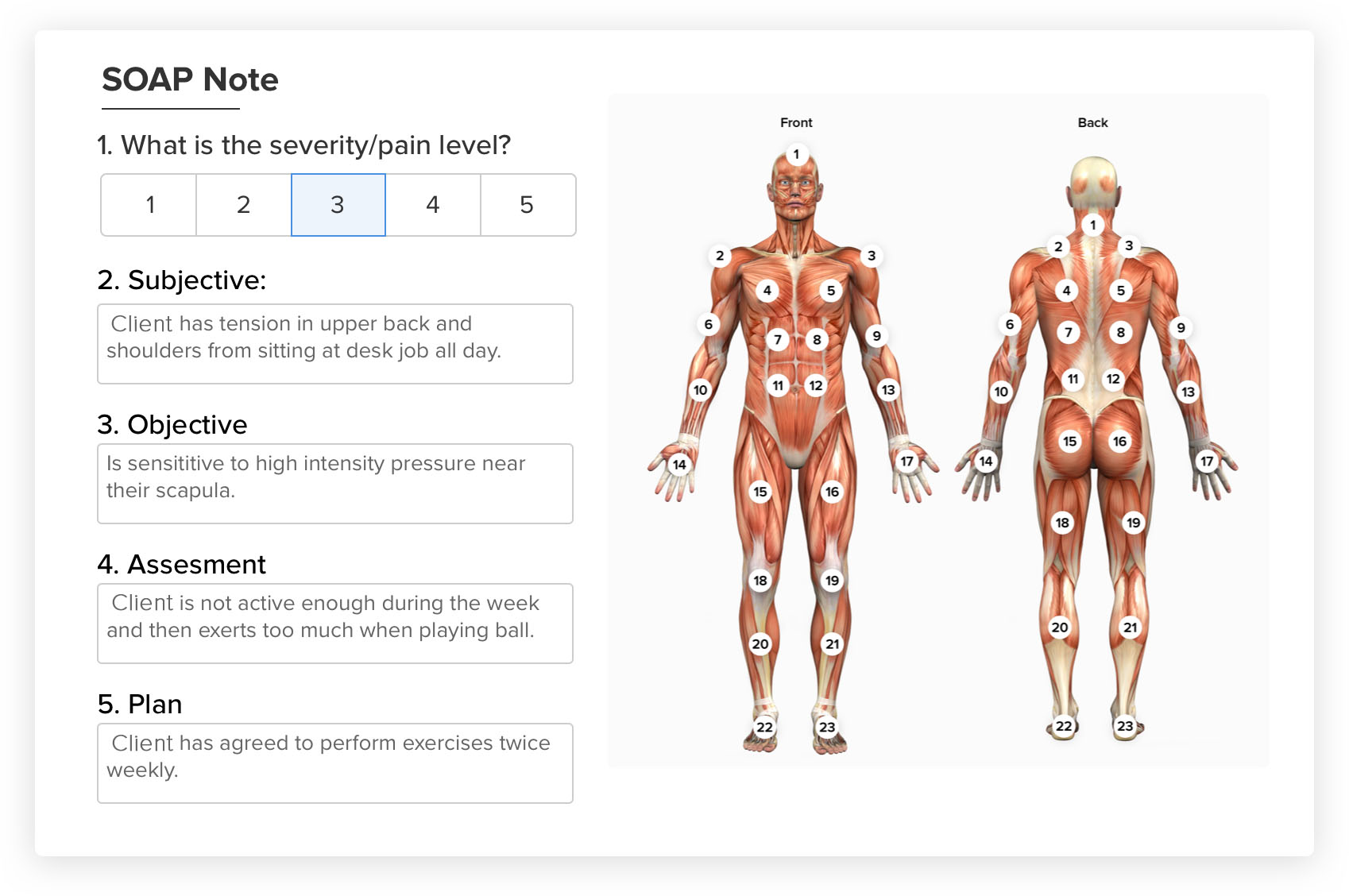 SOAP Notes Chart for Physical Therapists
